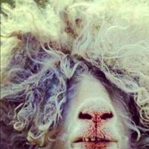 Meet your Posher, Josy